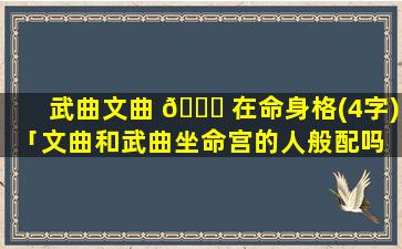 武曲文曲 🐎 在命身格(4字)「文曲和武曲坐命宫的人般配吗 🐠 」